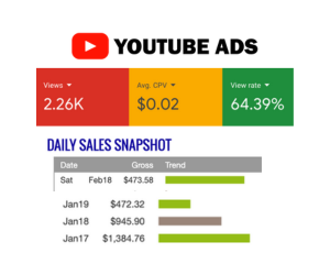 YouTube Ads Traffic Mastery (Coaching)