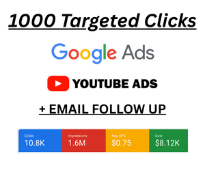 1000 MMO Targeted Traffic